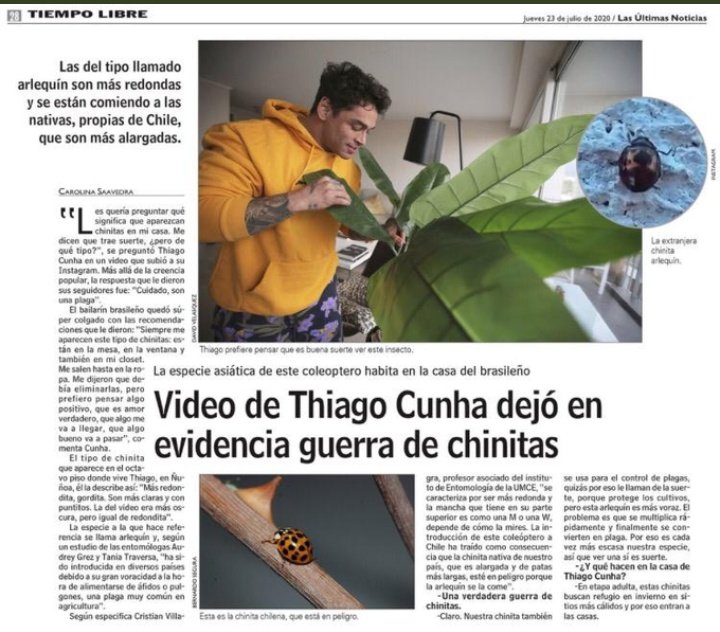 Sinerrata tweet media