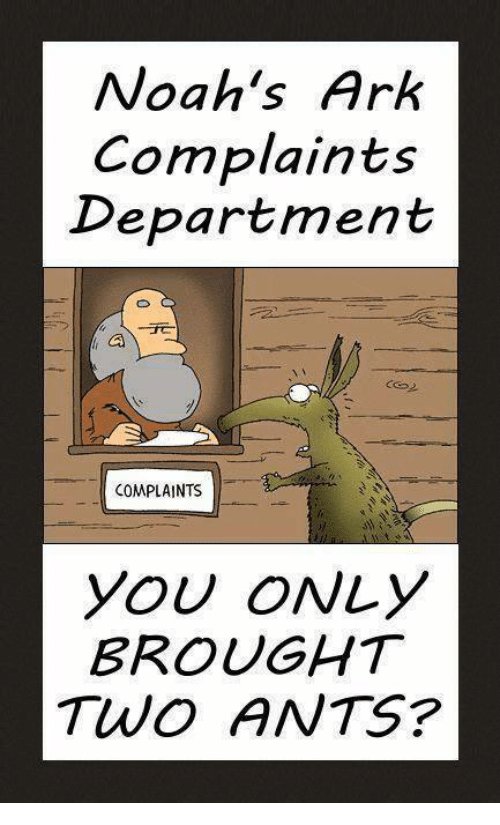 curiousityfeeds's tweet photo. This always cracks me up!!!🤣🤣
#Noahsark
#religiouscomedy https://t.co/61Zq5UVtns