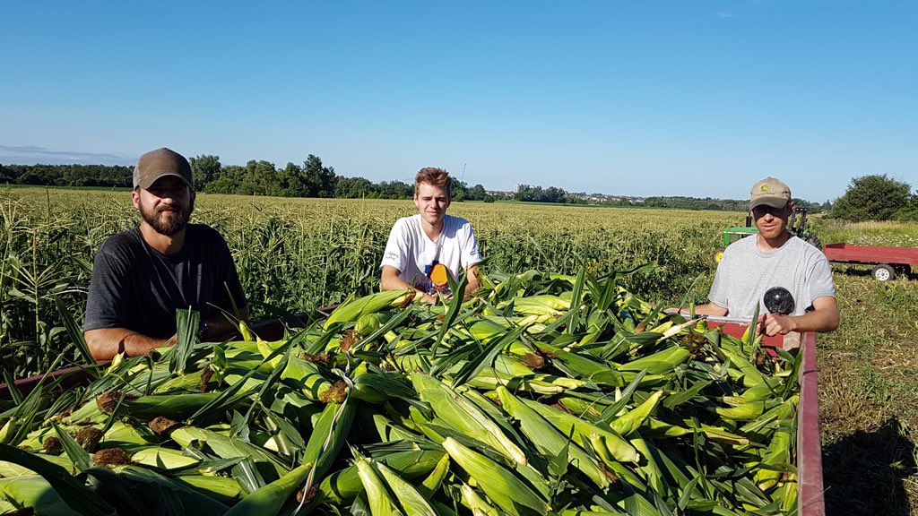 Reesor's tweet media