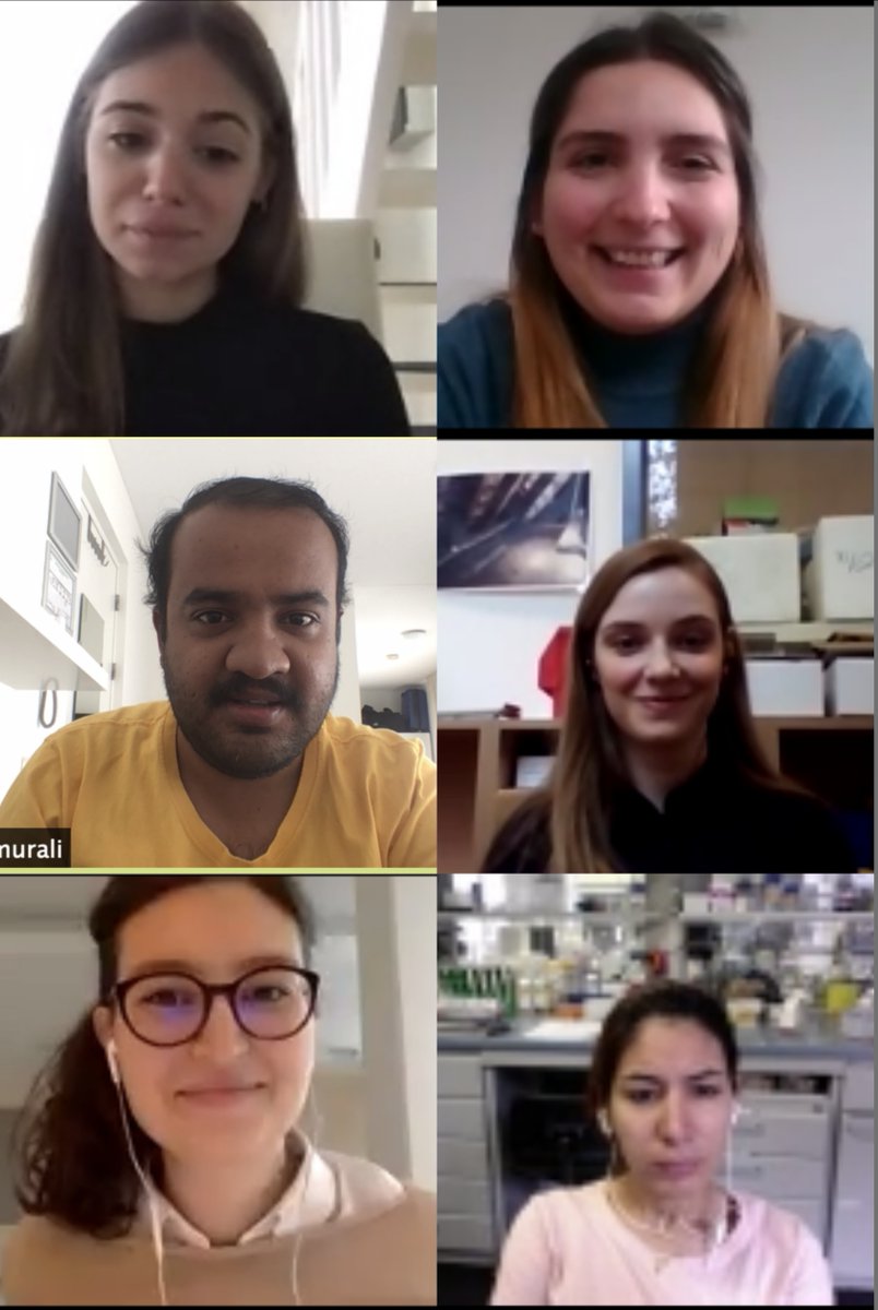 TRAINHEART4's tweet photo. After 3+ months of weekly #Zoom sessions, Round 1 of the 
@TRAINHEART4 #JournalClub came to a close - we break now for summer and will resume in #September!

It's been such a great opportunity to discuss #science, learn about new #techniques/ #methods, and keep up to date! #MSCA https://t.co/fVeCRpGvkX