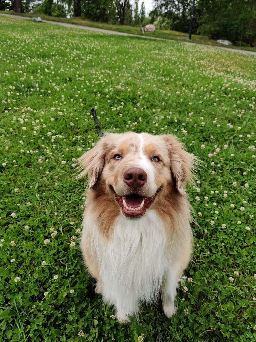 Cappeh's tweet image. Trevlig helg och hoppas alla vinner varje spel man lagt i helgen.