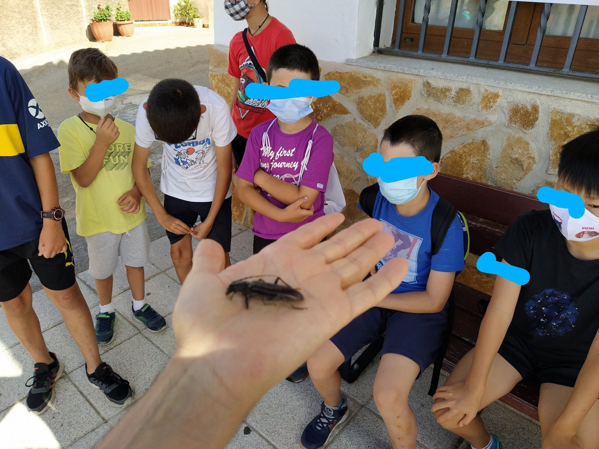 AquilaNatura's tweet photo. ¡¡¡Qué bien hemos acabado la semana en #Forfoleda!!!
Hemos seguido sumando Naturaleza, experiencias y mucha diversión.
#veranoconamigos https://t.co/7EmU48eKe8