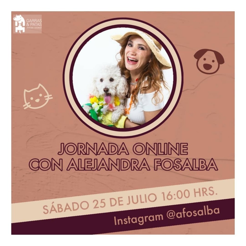¡Conéctate mañana a una nueva jornada online! Junto con Alejandra Fosalba vamos de visita virtual con algunos hogares temporales para que conozcas a nuestros rescatados. Te esperamos en el Instagram @afosalba a las 16:00. 📸 #JornadasGyP #EligeSalvarD… instagr.am/p/CDBrUa5hRSD/