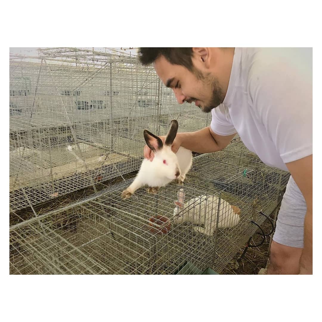 Sparkle_GMA's tweet photo. #JamesTeng (@iamjamesteng) shows us around Casa Conejos Farm, his rabbit farm in Porac, Pampanga ❤🐰 Make sure you're following them on Facebook: https://t.co/hJ98RvE30a https://t.co/seiYOVKuhk