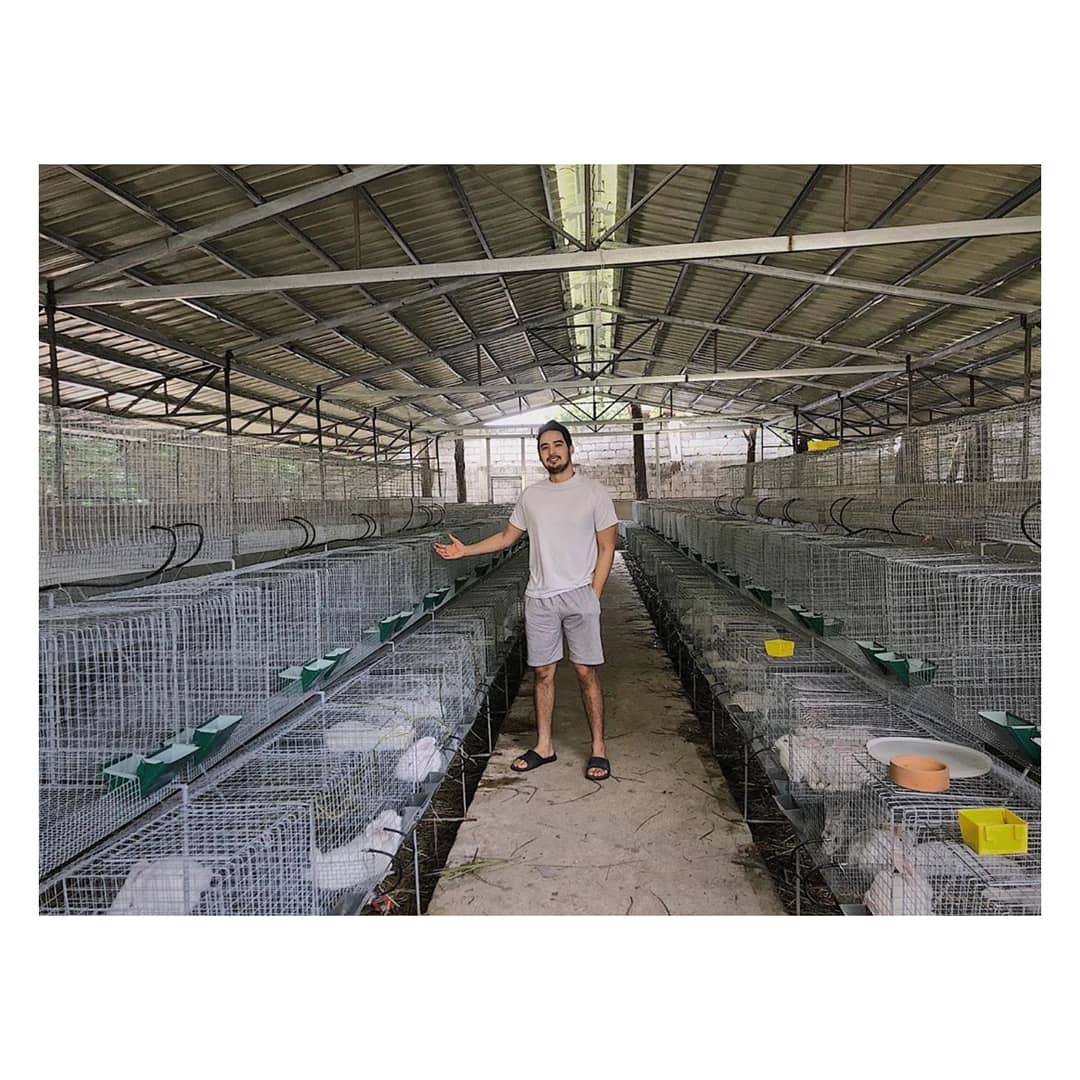Sparkle_GMA's tweet photo. #JamesTeng (@iamjamesteng) shows us around Casa Conejos Farm, his rabbit farm in Porac, Pampanga ❤🐰 Make sure you're following them on Facebook: https://t.co/hJ98RvE30a https://t.co/seiYOVKuhk