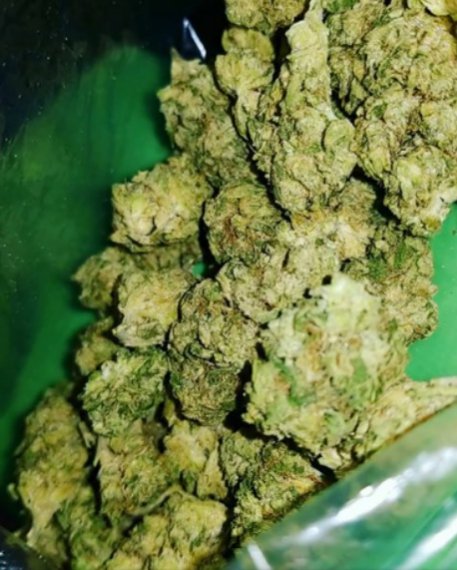Canabis4207's tweet photo. Happy Birthday too Me 👇 come have a Puff with your boy , gonna be mad Clouds today #StonerFam #PPP #LetsBlaze #PositiveClouds #StayLifted 💚y’all 😊💨💨💨✌️ 
Snapchat: plug kili https://t.co/vVQzyfd9LI