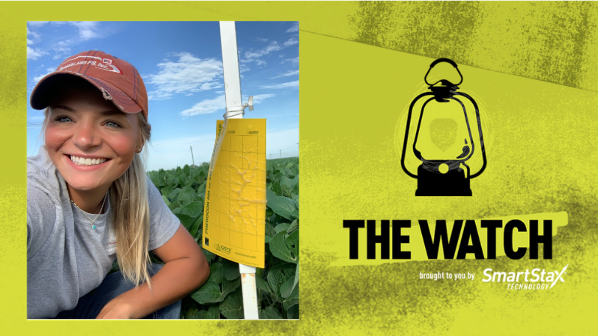 BayerTraits's tweet photo. Congrats to @carlockhannah for being this week's #RootwormWatch winner! 📸Show us your sticky trap photos and include #RootwormWatch and #sweepstakes for your next chance to win.👇 https://t.co/UIbue2u7Xz