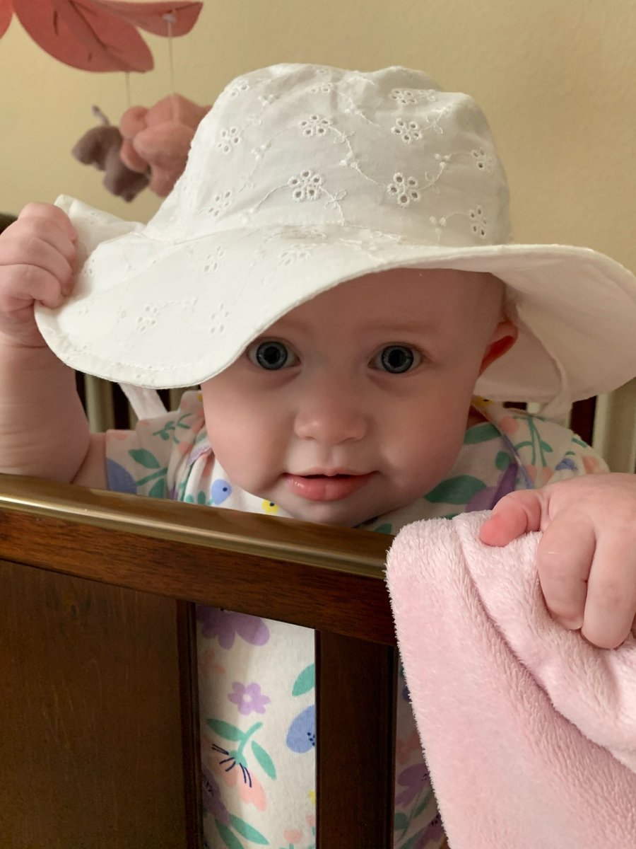 Joel Blank tweet media