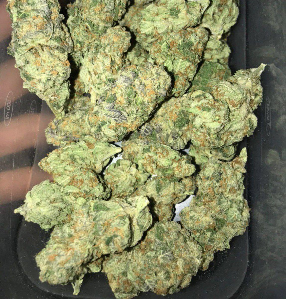 Canabis4207's tweet photo. Commandez discrètement via
Snap: plug kili
#paris  #france #equipedefrance #weed #beuh #shit #cocaine #drogue #Paris #Nantes #Toulouse #bordeaux #Nice06 #Marseille #Rennes #Lorient #Quimper #Strasbourg #Lille #Cherbourg #Avignon #FranceVerte #paris #uk https://t.co/noXPasLKXW