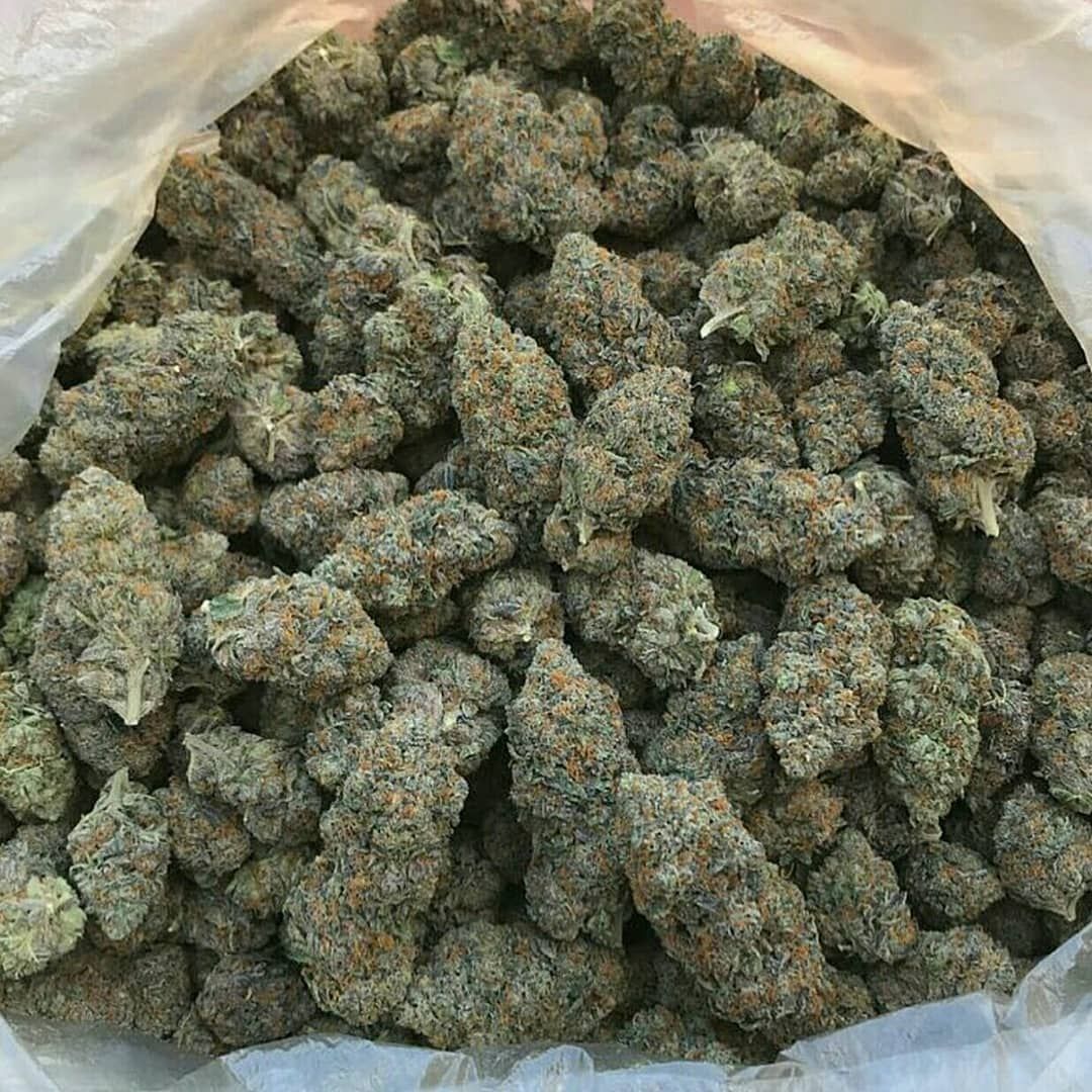 Canabis4207's tweet photo. Commandez discrètement via
Snap: plug kili
#paris  #france #equipedefrance #weed #beuh #shit #cocaine #drogue #Paris #Nantes #Toulouse #bordeaux #Nice06 #Marseille #Rennes #Lorient #Quimper #Strasbourg #Lille #Cherbourg #Avignon #FranceVerte #paris #uk https://t.co/noXPasLKXW