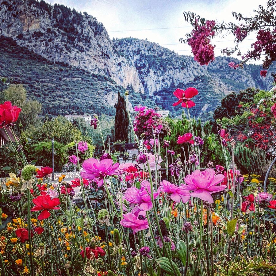 Blueyonetwo's tweet photo. The beauty of our #motherland /The colours a bit touched up but still../#AgiosEpiktitos / #Catalkoy/ Renklerle oynanmis ama guzellik yine gozleri kamastiriyor/ #Cyprus #OnePeopleOneCountry / #TekHalkTekVatan #Kibris https://t.co/CAcQIQCxlK