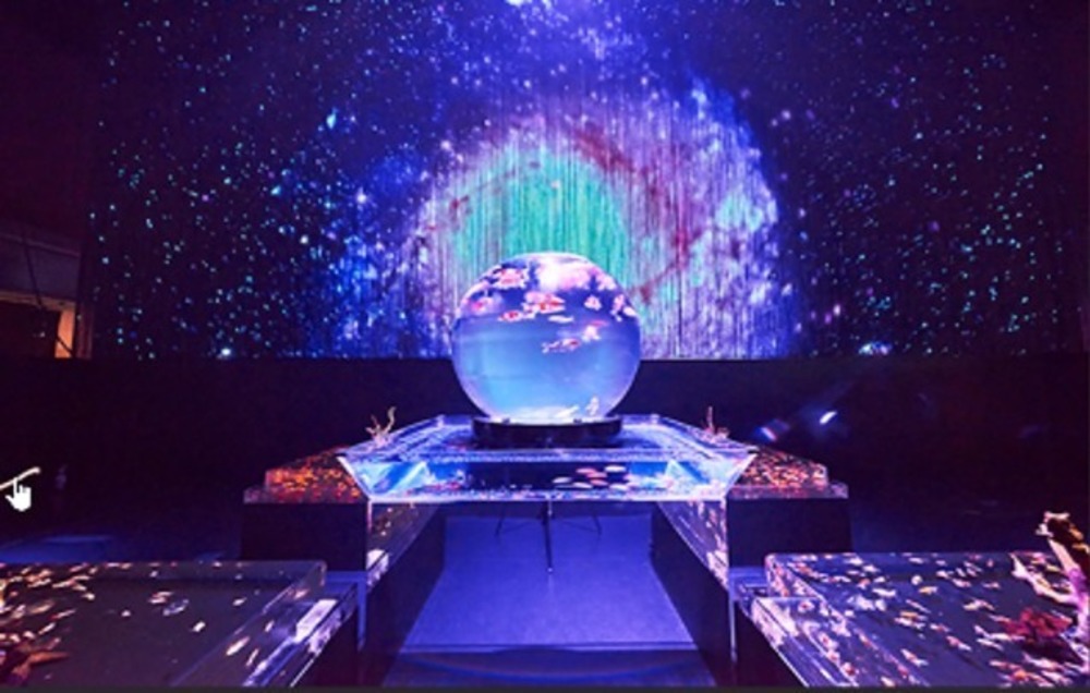 アートアクアリウム展の管理が杜撰すぎると批判が殺到 Togetter