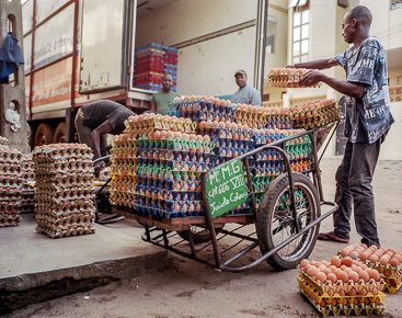 IFPRI's tweet photo. #NowReading @RobVos26 &amp; Khiem Nguyen on Ch.2 of #GFPR2020:
“Well-designed &amp; targeted price policies can have important impacts all along the value chain…&amp; edu. &amp; entrepreneurship training are invaluable to access better-paid jobs in nonfarm employment.”
👉https://t.co/YiG1IoAfZE https://t.co/lFhOdBrRC4
