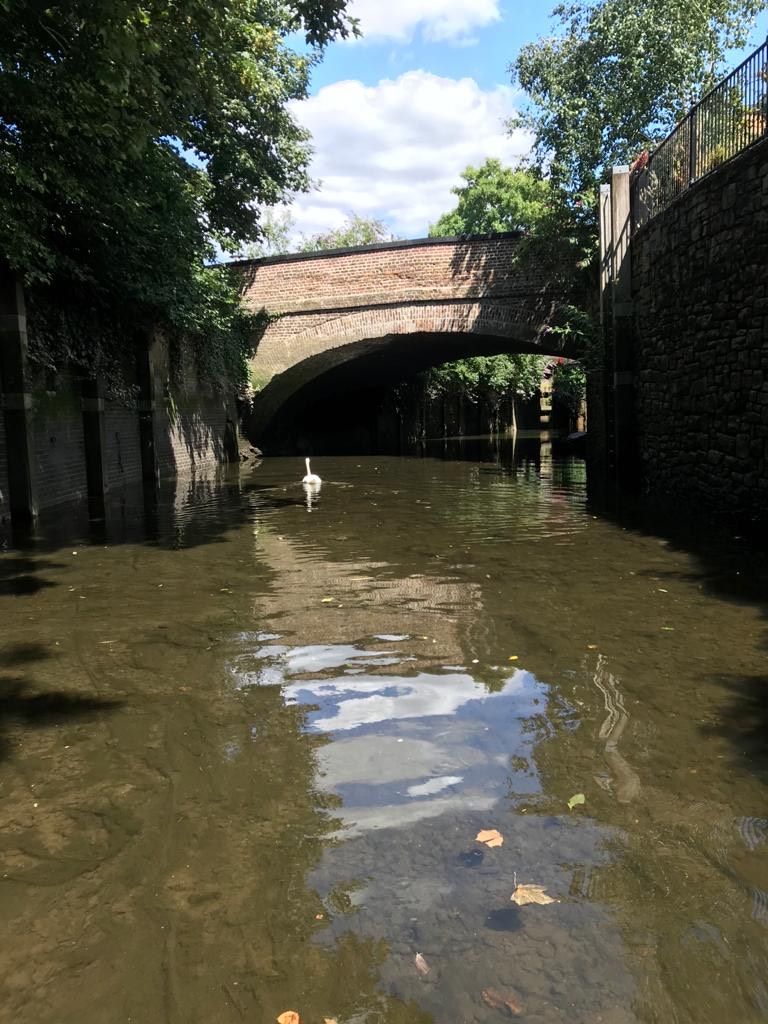 geosphere4d's tweet image. Lovely setting &amp;amp; lovely weather for our river scan today. Precise level monitoring of river flood defence walls.
#riverstrust #river #monitoring #aec #enviroment #enviromental #environmentallyfriendly #environmentdesign #scan #survey #surveydata #protectingtheenvironment #3dscan