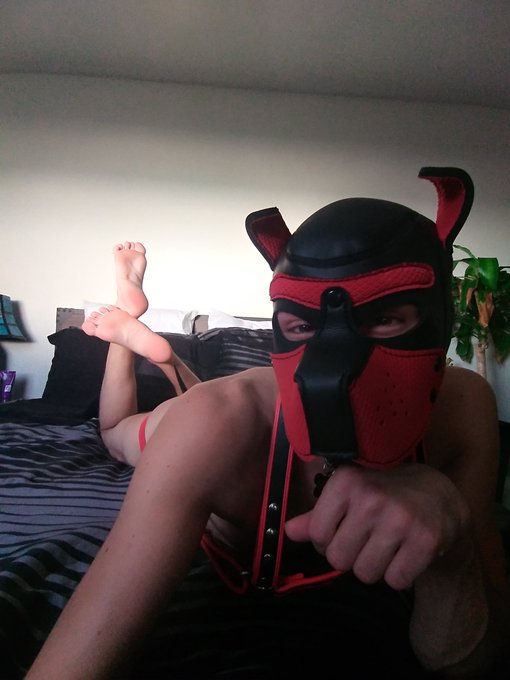 Woof https://t.co/FE4MD7FauZ<a href="/tag/gay"class="tags"><span>#gay</span></a><a href="/tag/bodypositive"class="tags"><span>#bodypositive</span></a><a href="/tag/workinprogress"class="tags"><span>#workinprogress</span></a><a href="/tag/gayselfie"class="tags"><span>#gayselfie</span></a>