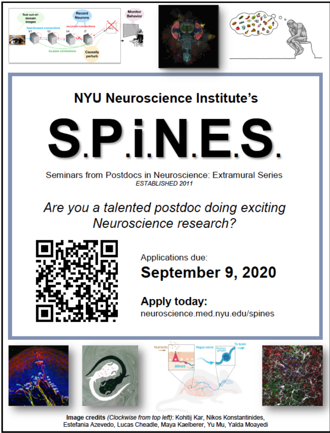 LiddelowSA's tweet photo. *please RT*

#cshlglia - UPDATE

Postdocs interested in giving a seminar on their research - our SPiNES (Seminars from Postdocs in Neuroscience: Extramural Series) applications are now live:
https://t.co/kerepOXW7x
(more info - https://t.co/oQNnp2bCGx)

WE LOVE GLIA APPLICATIONS! https://t.co/Or0C1e3zap