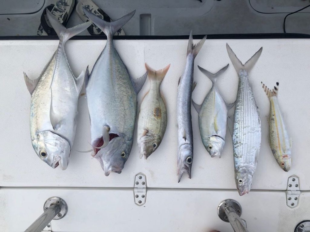 abdho804's tweet photo. friday fishing @SuaadhAhmed08 🎣🤟 https://t.co/fOXCGkvC1D