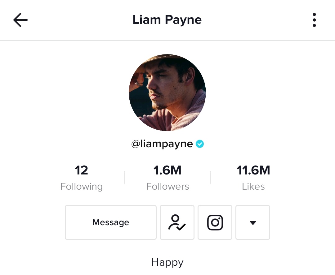 kiwitharry's tweet photo. wAIT WHAT IF THE OTHER BOYS ALSO ADD SOMETHING IN THEIR BIOS JUST LIKE WHAT THEY DID WITH "hello. we. are. one. direction. yay."

LIAM IS HAPPY https://t.co/ewlgdvz3DK