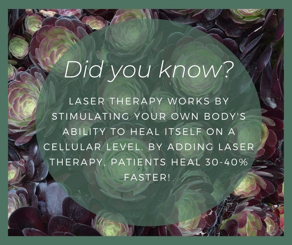 TripodLaser's tweet photo. #TheMoreYouKnow #lasertherapy #nopain Check out our website https://t.co/jBtwuKKKPz for more info! https://t.co/CFTcU3uCVA