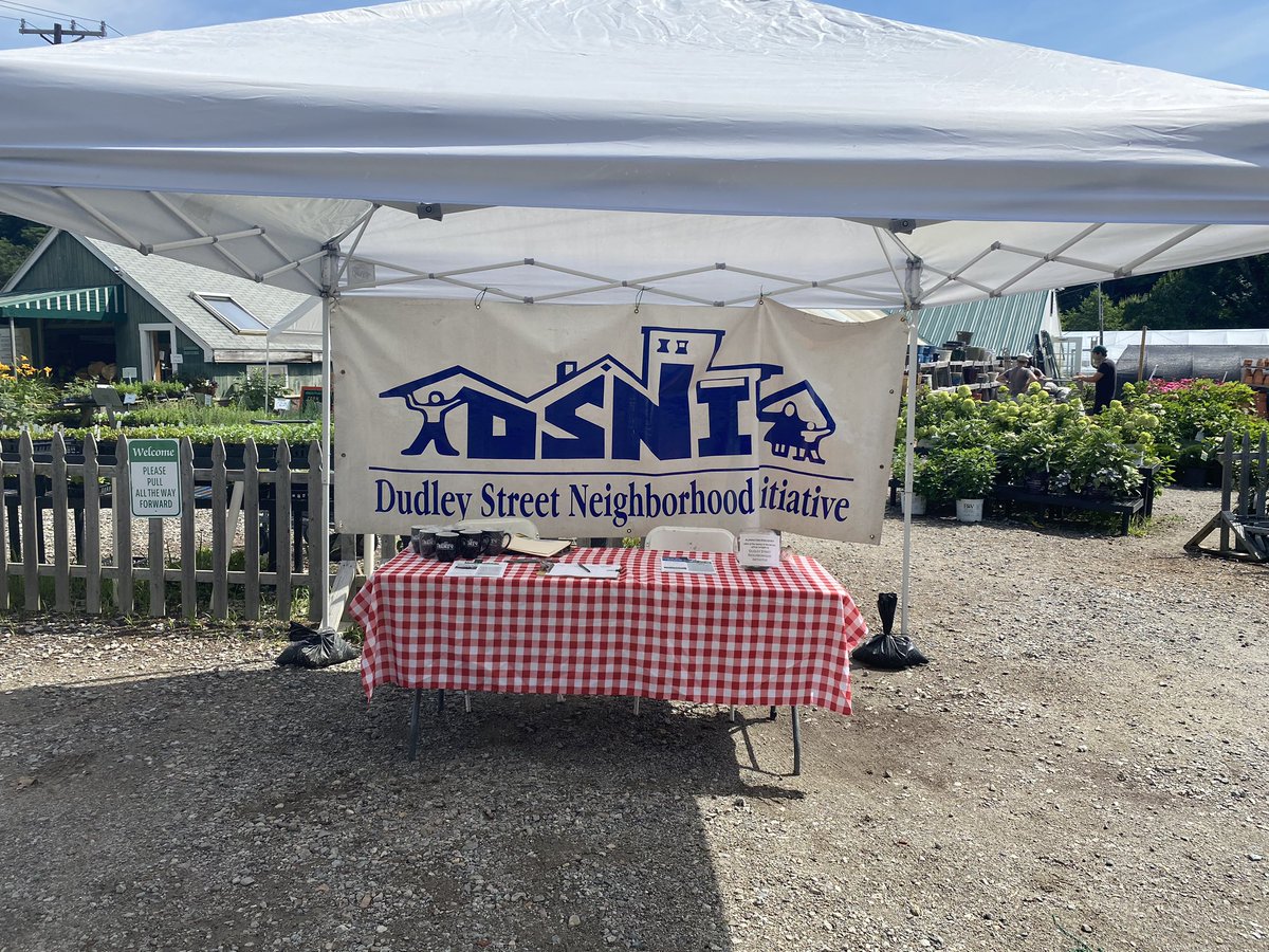 DSNI tweet media