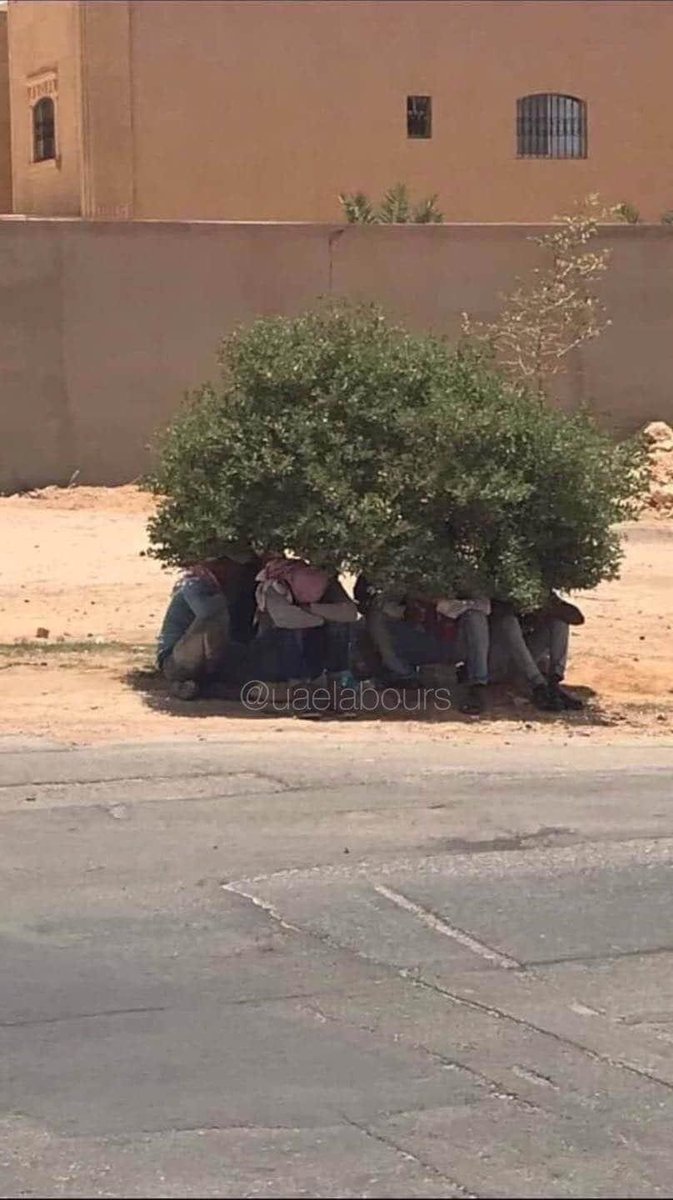 Na3______'s tweet photo. Life of Gulf countries in 40+ temperature, Huge respect for those who face a lot of hardships to earn Rizq Halal (Pure Money) for their families. https://t.co/ENGr0VJu3o