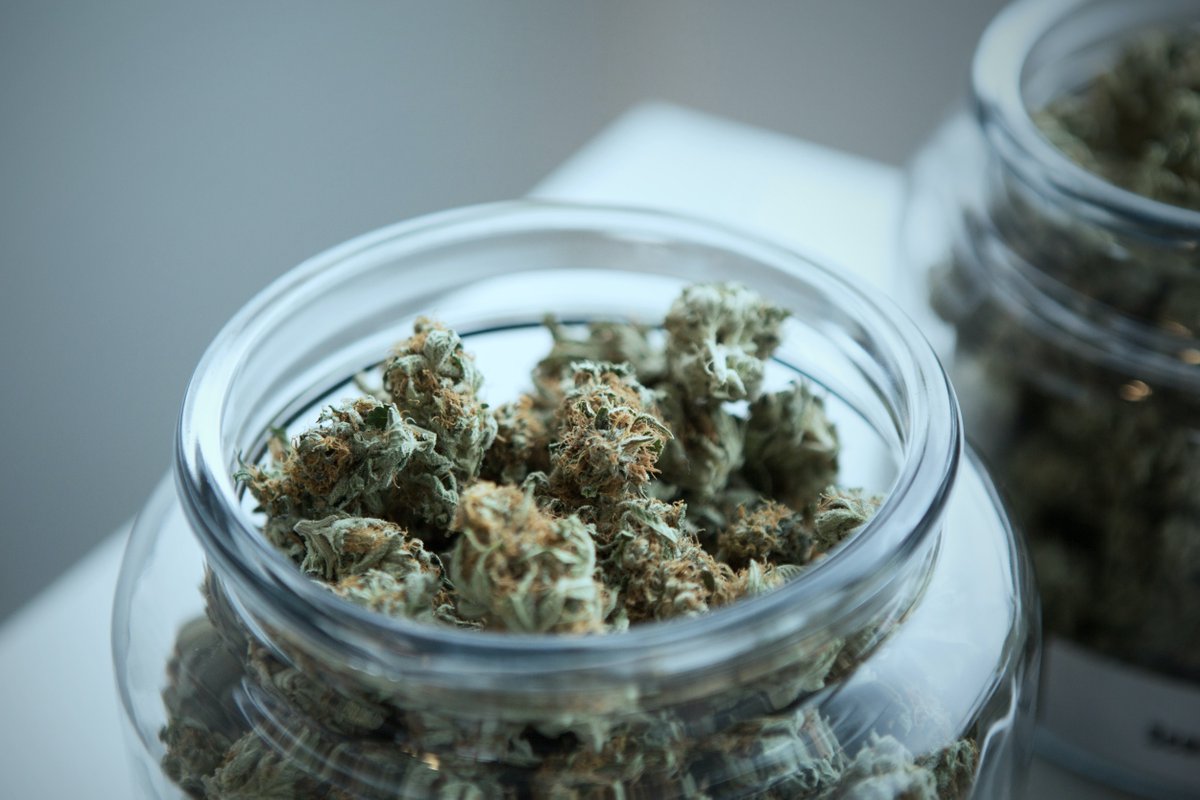 GrowGearCo's tweet photo. For many Canadians self-care includes choosing medicinal cannabis over traditional pharmaceuticals. We support the #CannabisCommunity and wish everyone a calm and restful #InternationalSelfCareDay ! https://t.co/fFkHwbjGRP