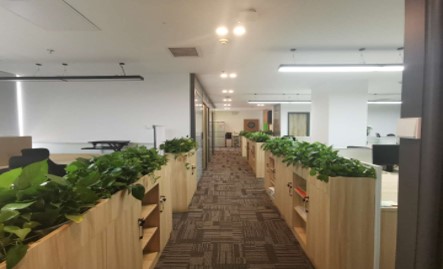 MaloneBaileyLLP's tweet photo. MaloneBailey Beijing has moved! We are delighted to be in our beautiful new office space. The design fosters a sense of collaboration, teamwork and cohesiveness. Check out the photos below! Happy Friday!
#Beijing #NewOffice #ChinaTeam #MBLife #MaloneBailey #WhyWeLoveWorkingHere https://t.co/QKPXtVA1Mx