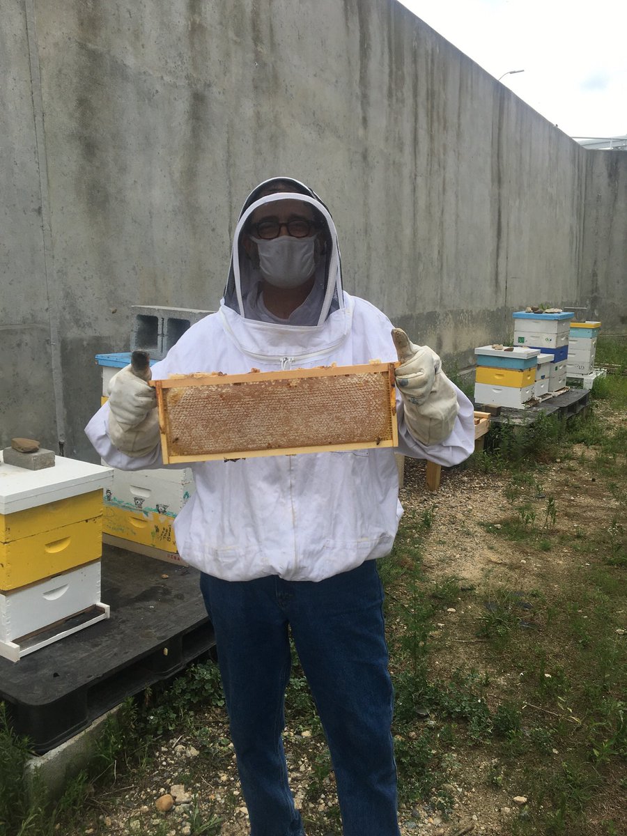 Chrispeot's tweet photo. This past weekend we had another successful honey harvest from our Bloom bees at Blue Plains.  Lots of delicious honey from our local pollinators! https://t.co/hdGrOFmGd9