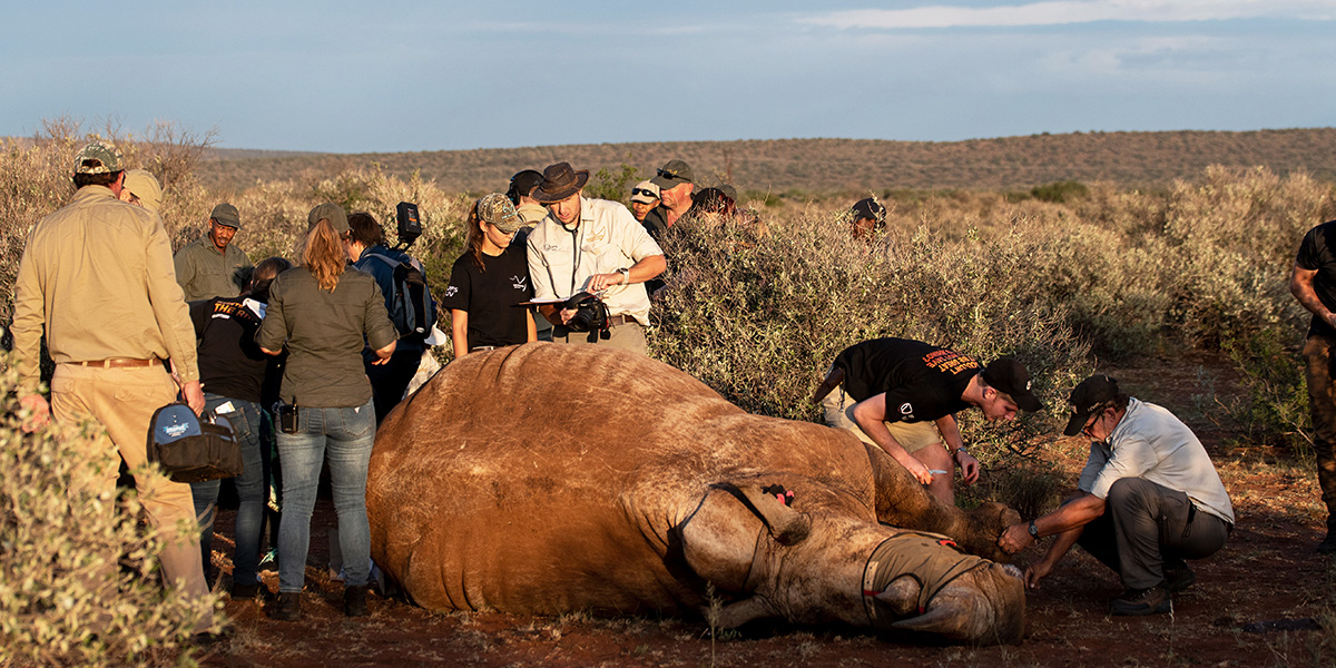rockwood_za's tweet photo. “Never doubt that a small group of thoughtful, committed citizens can change the world; indeed, it is the only thing that ever has.” - Margaret Mead, cultural anthropologist and author. Donate now: https://t.co/4ylrlTyjw1
#ConservationMonth #ConservationQuote https://t.co/qlHyrugjM7
