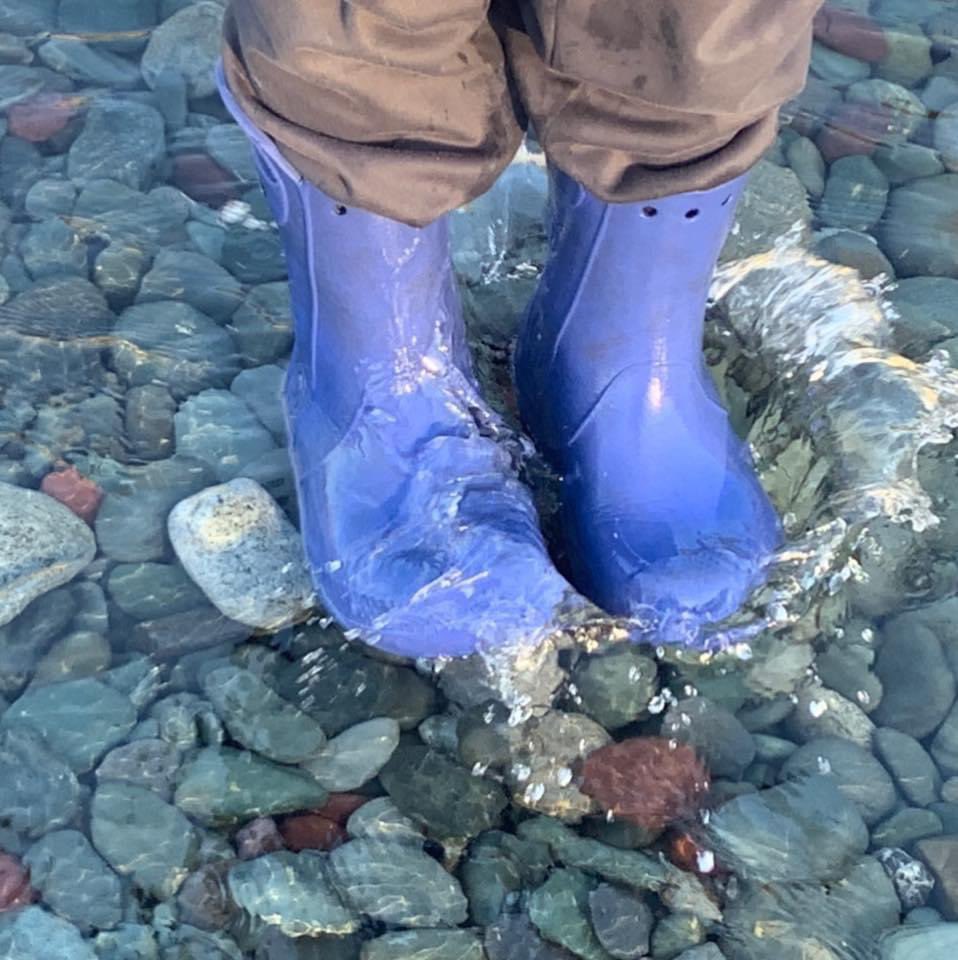 BaystarC's tweet photo. This #nlwx today is great - if your a duck!!! Great for all the gardens &amp; plants too!! The #capelinroll2020 is happening now so not totally shocking!!! We are open today 12-7 Menus found here: https://t.co/UiFubxbBrr https://t.co/AhINcUgHpj