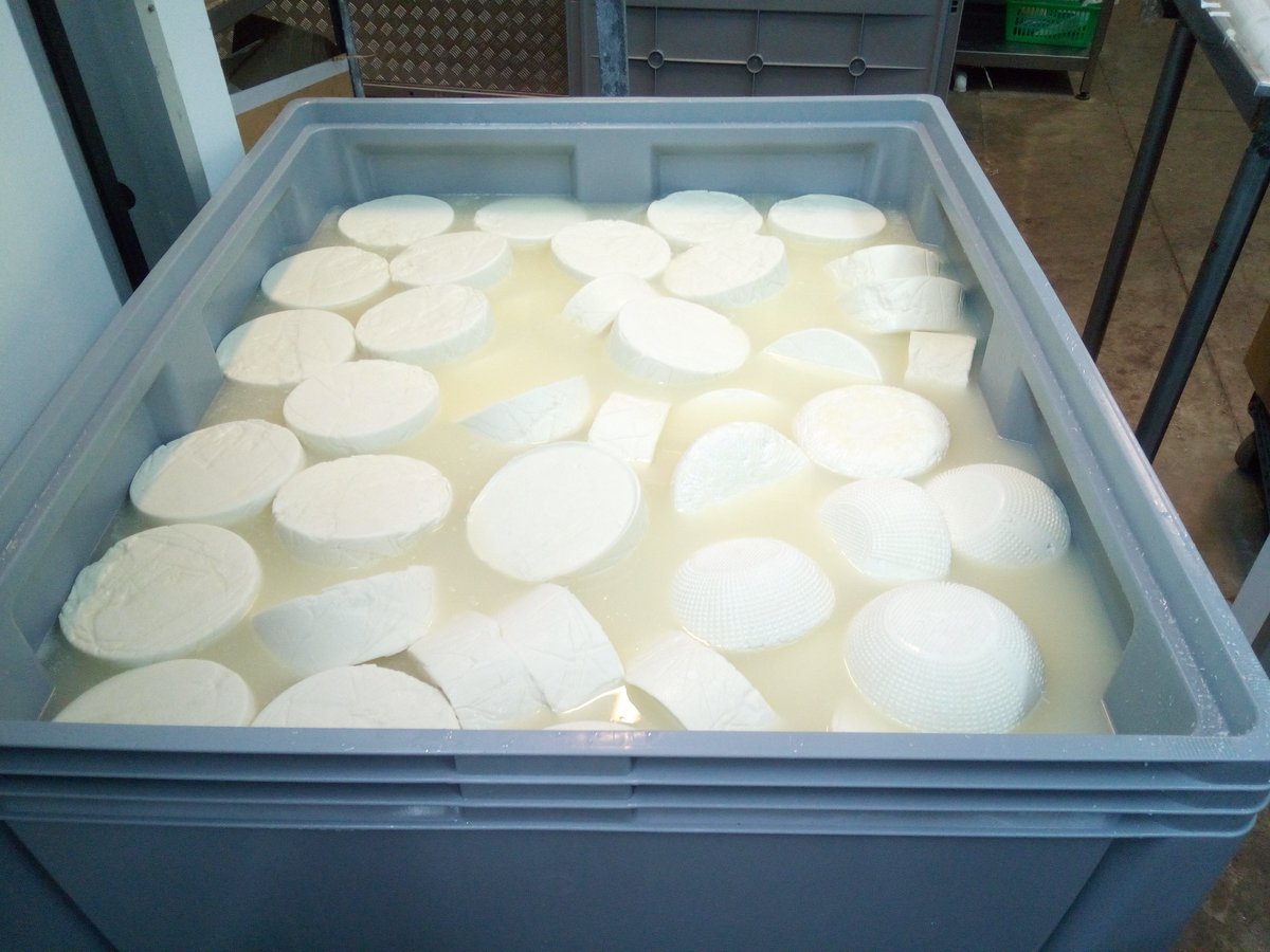 RibblesdaleC's tweet image. Salt is added to cheese to halt acidity development, enhance flavour &amp;amp; a preservative. You can salt direct in the vat, dry salt cheese after made or brine like us. 
Thank you to everyone for their likes, RTs, conversations much appreciated, have a great weekend &amp;amp; see you Monday!