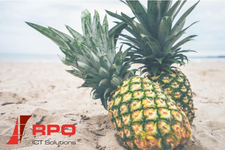 Zorgeloos ondernemen terwijl u met vakantie bent? RPO regelt het.
rpo.nl/managed-servic…