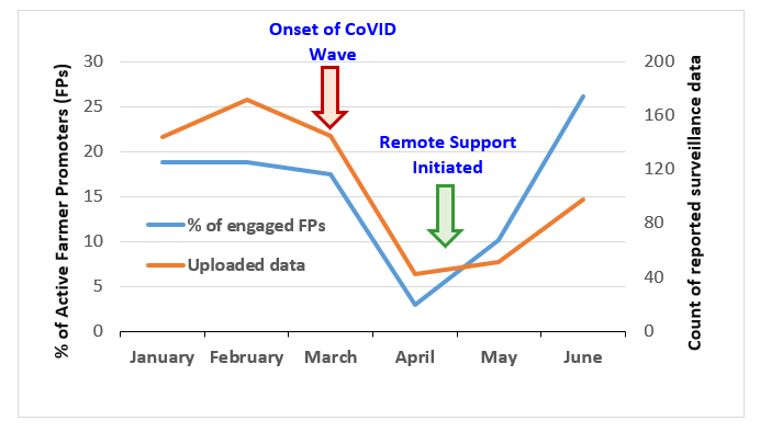 Julius (@juliusadewopo) on Twitter photo Desperate times require desperate measures: CoVID disrupted <a href="/IITARWANDA/">IITA Rwanda</a>'s validation of digital disease surveillance tool among Rwanda farmers; We pivoted by initiating extensive remote (virtual) support; Now we see compelling results to guide our scaling strategy #ConquerCoVID Desperate times require desperate measures: CoVID disrupted <a href="/IITARWANDA/">IITA Rwanda</a>'s validation of digital disease surveillance tool among Rwanda farmers; We pivoted by initiating extensive remote (virtual) support; Now we see compelling results to guide our scaling strategy #ConquerCoVID