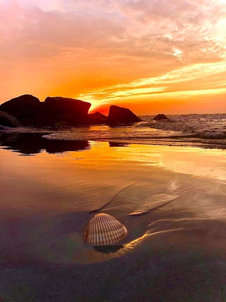 elionieves's tweet photo. @Ger_Rico10 @ponce_1107 @MartaAvendao @MarcelaErcia @FabyzAzul @PriscaBrusau @monicgu @Eles26 @Plecll891 @luizcosta76 @EdisaContreras Gracias hermanito @Ger_Rico10 otro abrazo para ti y todos  🤗  deseándoles un día desbordado de alegrías y bendiciones #FF_Special_VIP 

#ViernesDeGanarSeguidores 
#SigoYRecomiendo https://t.co/j0w80IDRtf