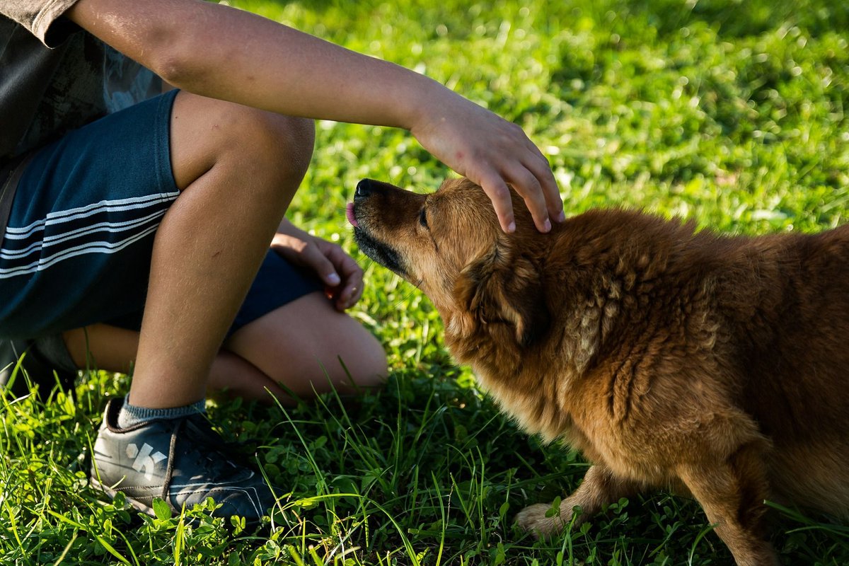 Austin_Vets's tweet photo. Are you a new client? Thanks for choosing to become part of our family! Here's some helpful information for you: https://t.co/JN6wolN9MW Call us at (512) 288-1040 to schedule an appointment or ask questions. See you soon! #atx #austinvet @Austin_Vets #FridayFeeling #DogsOfTwitter https://t.co/dvp0IdthoQ