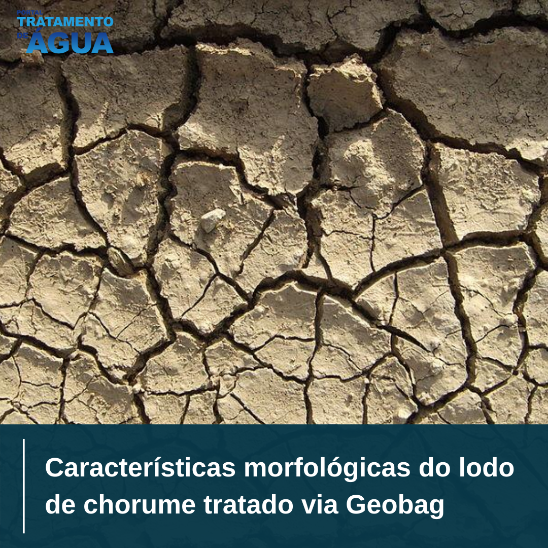 tratamentoagua's tweet photo. 🔎 Neste trabalho, realizou-se a avaliação morfológica qualitativa e semi-quantitativa de lodo de chorume, gerado no aterro sanitário, tratado via geobag.
-
📌 LEIA NA ÍNTEGRA>> https://t.co/3Rzbar9LyP
-
#TratamentoChorume #Chorume #Geobag #Lixiviado #Lodo https://t.co/yEM3BGrlEE