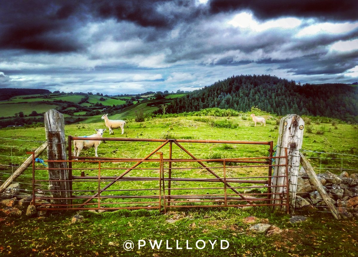 Kings of The Hill : #cymru #wales #croesocymru #visitwales #walesadventure #photooftheday #ordnancesurvey #landscape #photography #landscapephotography #fotoRshot #StormHour #ThePhotoHour @LensAreLive