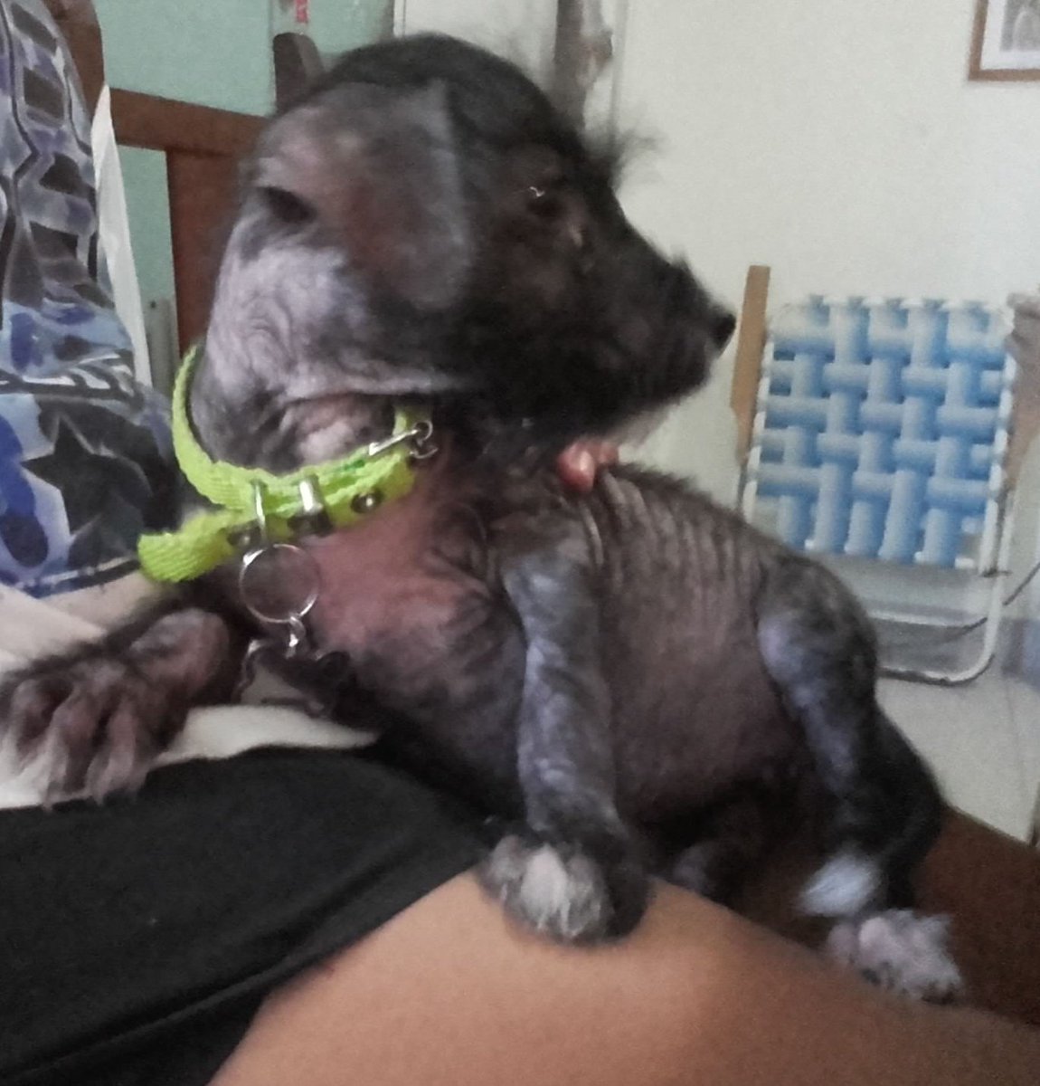 feermerlo1's tweet photo. @OOCanimales La secuencia más hermosa😍♥️ https://t.co/vXO0jJUZKZ