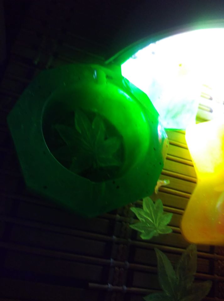 CreatorKreative's tweet photo. the GREEN MONSTER ~ BIG BOY SMOKE ASHTRAY ..ALWAYS A HIT HAS REAL FLOWER BAKED IN THE MOLD ..CUSTOM POUR AT ITS BEST <3 https://t.co/TjAlv58wRs