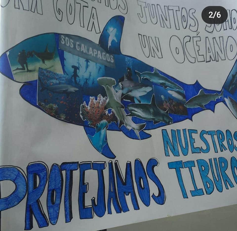 AnimalLibreEC's tweet photo. #SOSGALAPAGOS 
 
Hace 2 años los activistas de Animal Libre Ecuador estuvimos presentes, junto con otros colectivos y ciudadanos, alzando nuestra voz para que las flotas internacionales destructoras de la vida marina de Galápagos se retire, lo logramos. https://t.co/Le9f5VSnkV