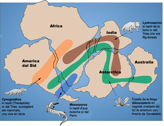 Plant-insect interactions have been described across Gondwana: Antarctica, Australia, South America, South Africa, and India. Broadly, leaf damage has been identified as the product of insect attacks during the life of the plant. (5/n)*I hate this map. Tell you some other time