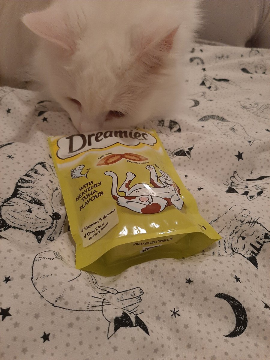 SamanthaRead14's tweet photo. @SaraAndJohn1 Marsh and biscuit say thank you D for their sweeties! https://t.co/XvO8ntlhGx