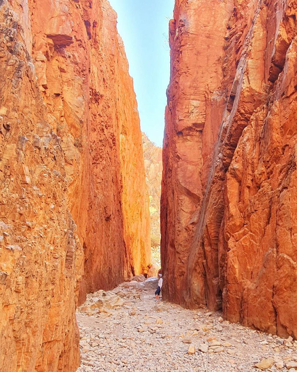 Australia's tweet photo. Putting things into perspective at the #StandleyChasm in @NT_Australia!
IG/phoebewilcox captured this fascinating formation, known traditionally as Angkerle Atwatye, towering 80 metres above the ground in the West MacDonnell Ranges National Park.
#seeaustralia #NTaustralia https://t.co/AHDxNWIGFc