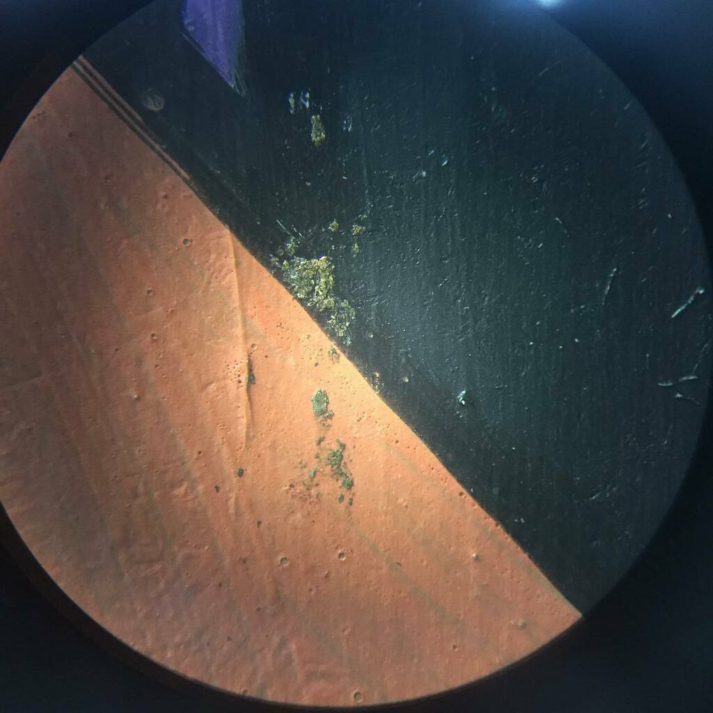 ACS_LondonOnt's tweet photo. Hmmm... that’s not supposed to be there. A scalpel under the microscope will take care of that. #artconservation #surfacecleaning #paintingconservation #paintingrestoration #thisisconservation @cac_accr #canadianart #underthemicroscope #crud https://t.co/dyy4HmdOyp https://t.co/iCplG7KQPC