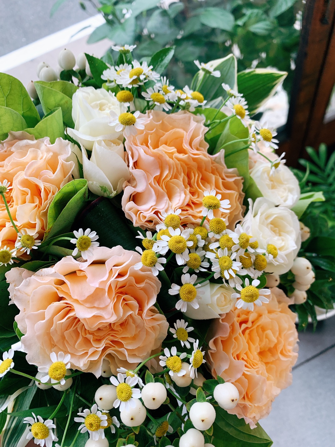 おはなちゃん A Twitter 一日一花 ミルフィーユのような薔薇はラ カンパネラ 2日目 ー アメブロを更新しました ラカンパネラ T Co Rg4pi2ckj0 T Co Jrlzendwar Twitter