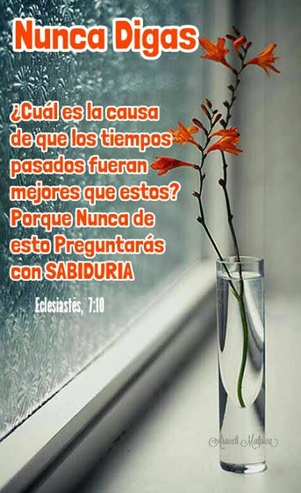 Mayteleal's tweet photo. ¡NUNCA DIGAS! https://t.co/DTBCR6xTH9
