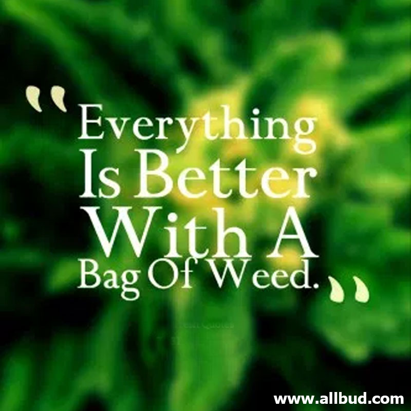Everything is better with A Bag of weed.
#allbud #marijuana #quotes #cannabis #weed #medicalmarijuana #cannabisnews #legalization #use #smoke #enjoylife #healthylife