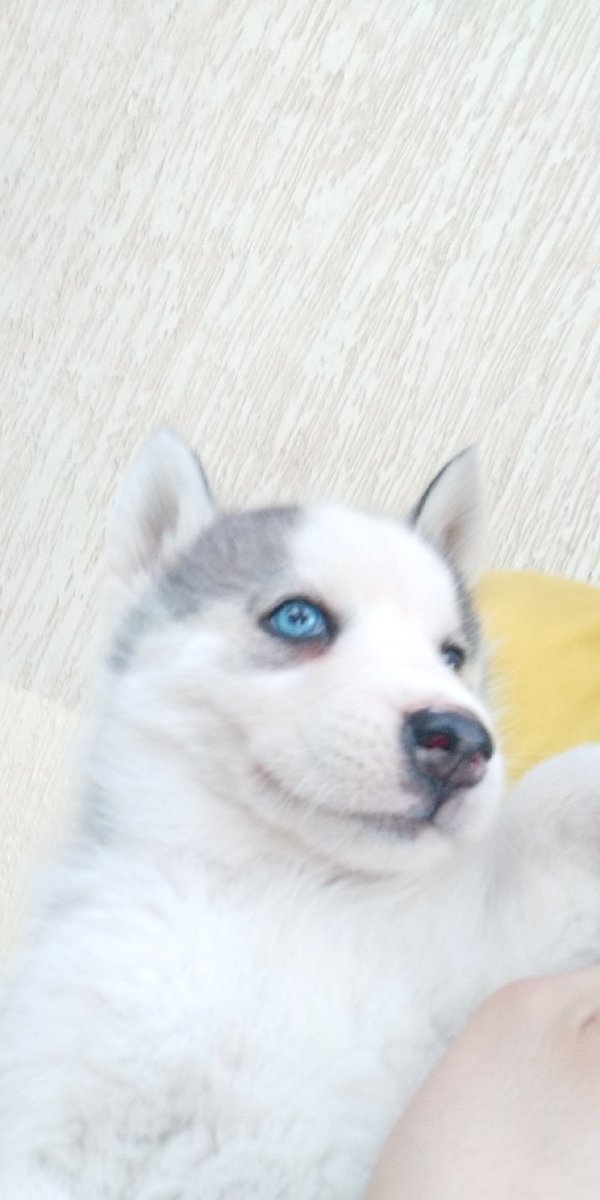 walkingvoidx's tweet photo. 🥳 https://t.co/JJYPdzqcTs