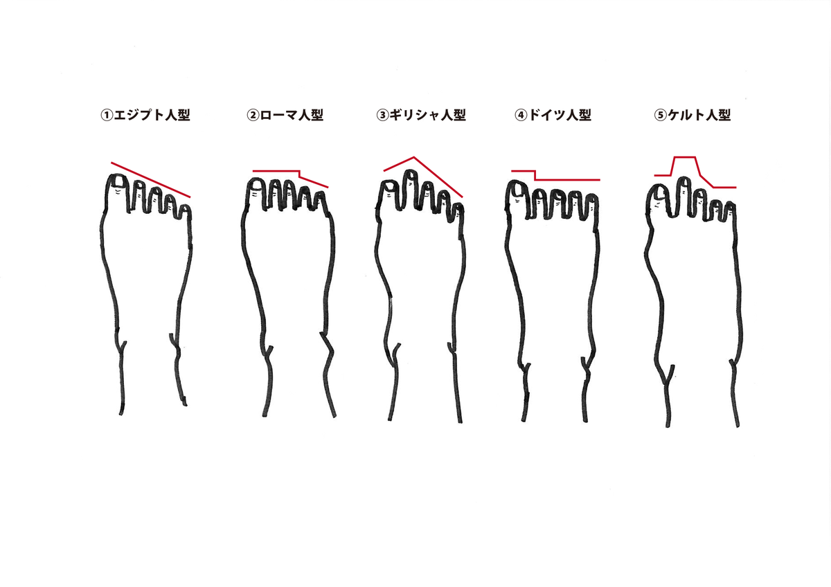 おじいちゃん Kujata 足の指の長さの違いで 先祖がどこルーツか分かるんじゃと わしはギリシャ系 日本人の中で25 の割合 じゃ エジプト系が一番多くて日本人の8割はこれじゃと