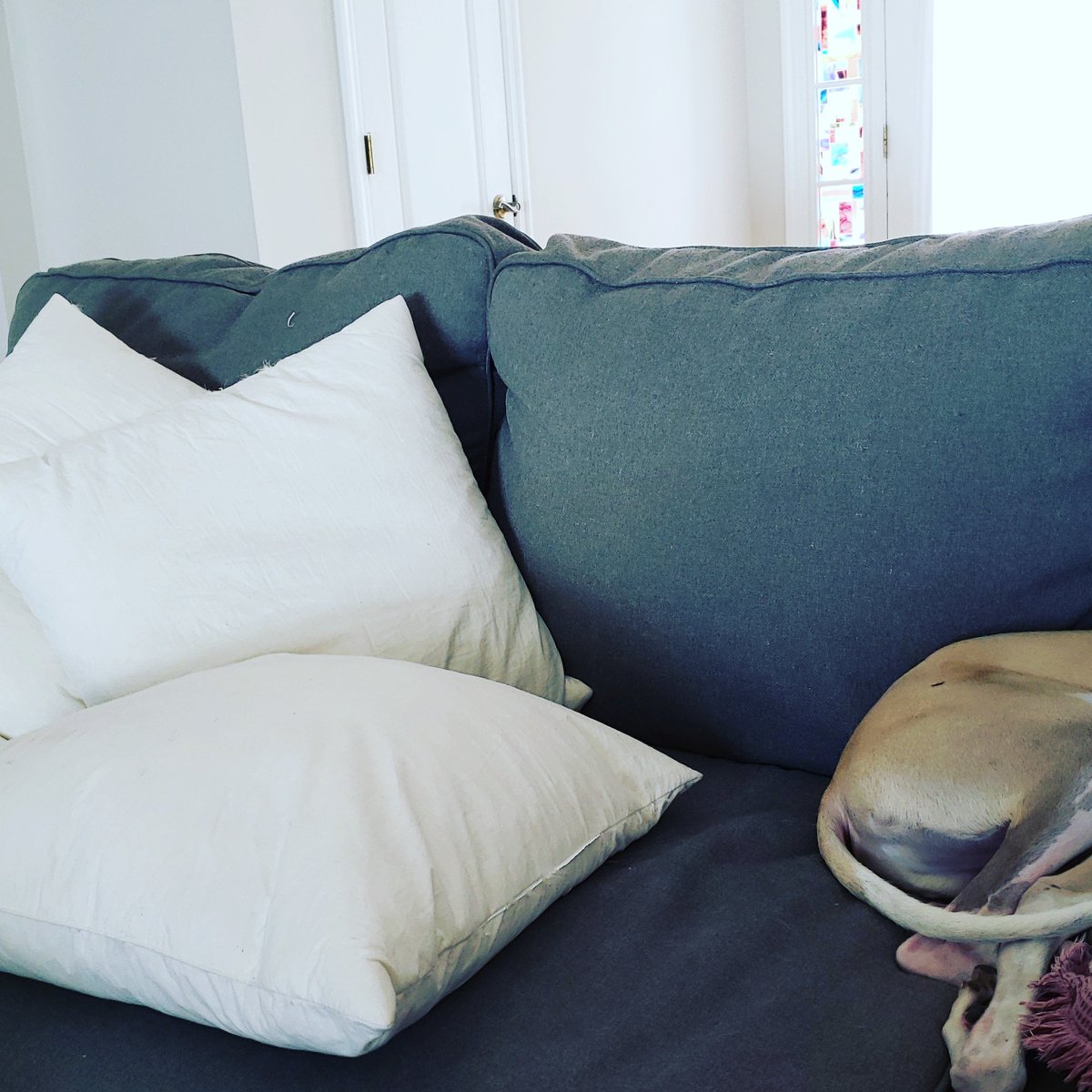 Cleaning day plus (lazy) dog tax.

#telepractice #speechtherapy #onlinetherapy #slp #teletherapy #speechies #teleclinician #workfromhome #slpsgodigital #virtualslp #teletherapist #digitalspeechtherapist #teleslpeeps #slptelepractice #onlinebusiness #smallbusiness #passiveincome